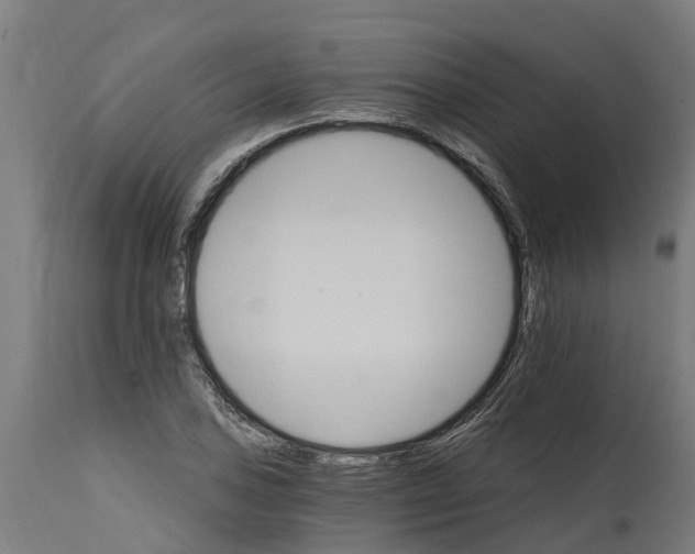 X0000114401027200911131401