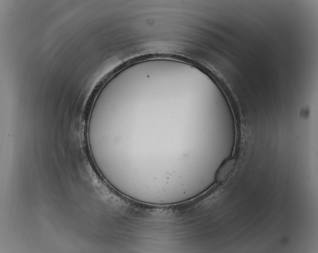 X0000114401029200911131401