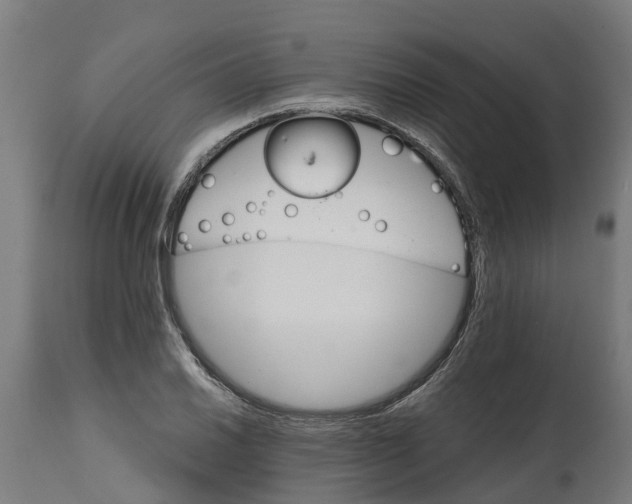 X0000114401030200911131401