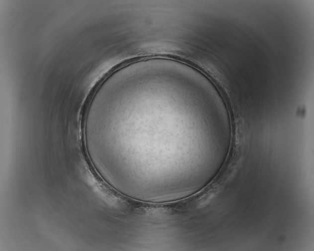 X0000114401031200911131401