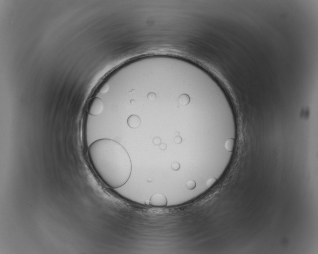 X0000114401032200911131401