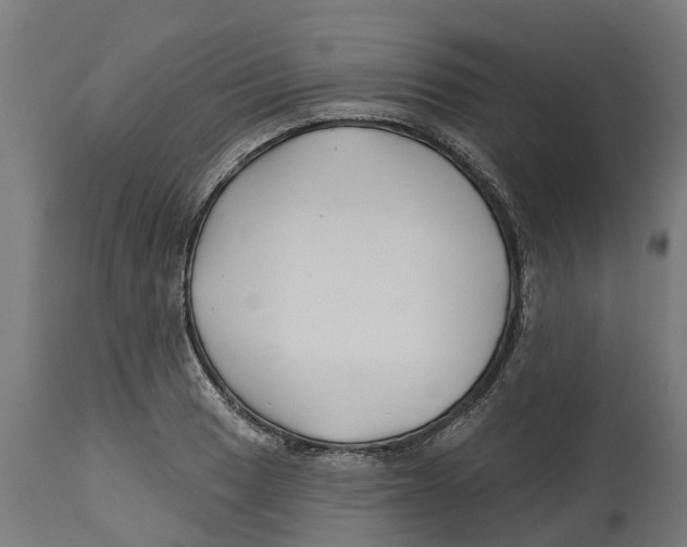 X0000114401033200911131401