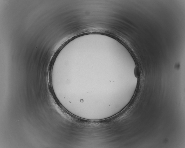 X0000114401034200911131401