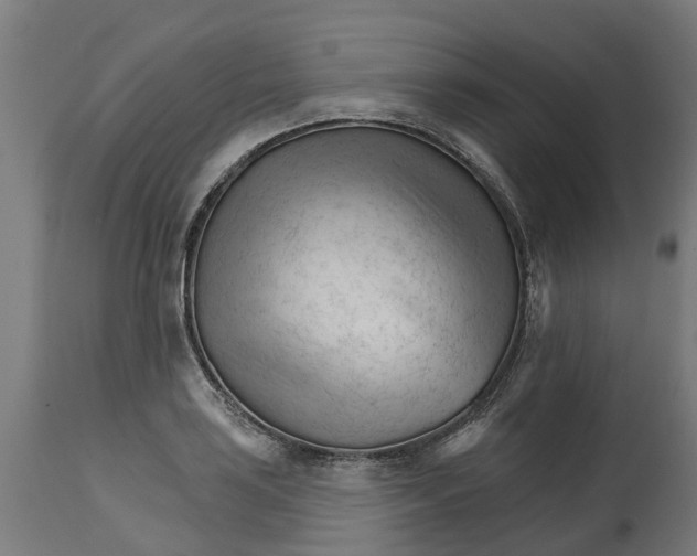 X0000114401035200911131401