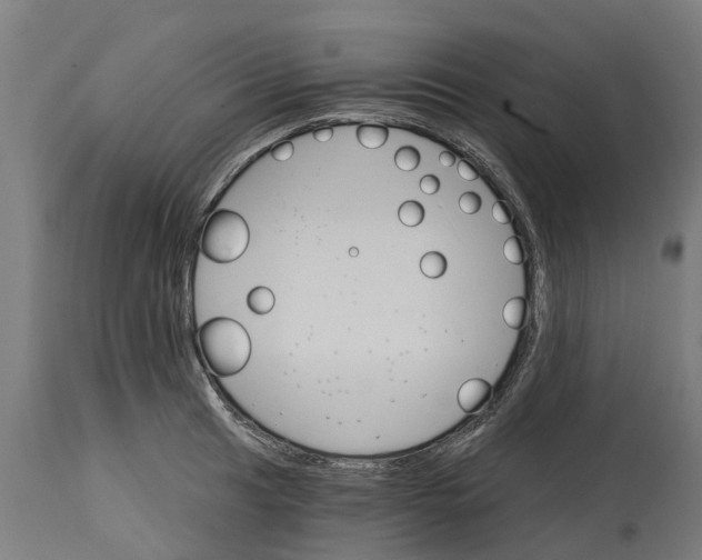 X0000114401041200911131401