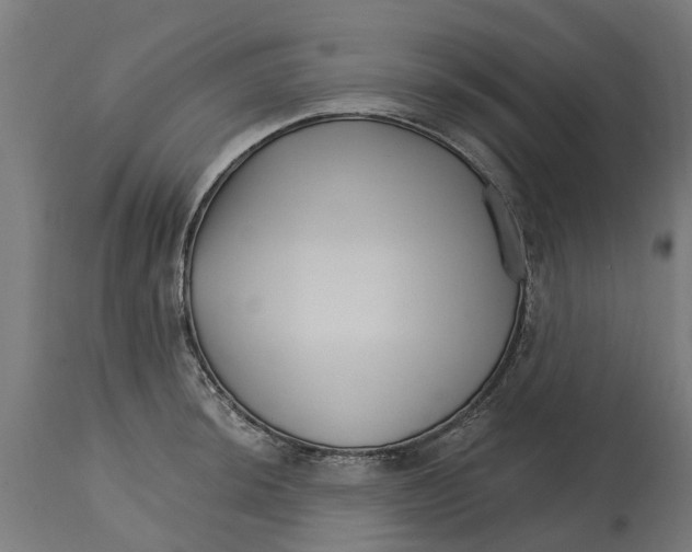 X0000114401044200911131401