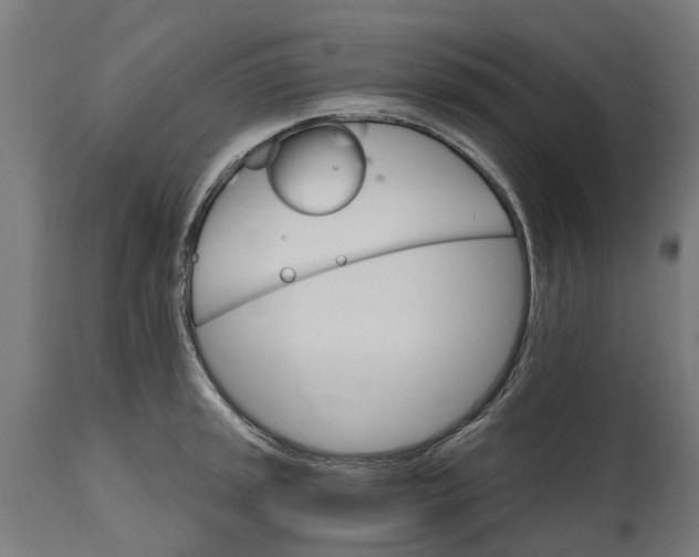 X0000114401045200911131401