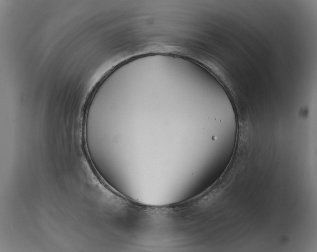 X0000114401046200911131401