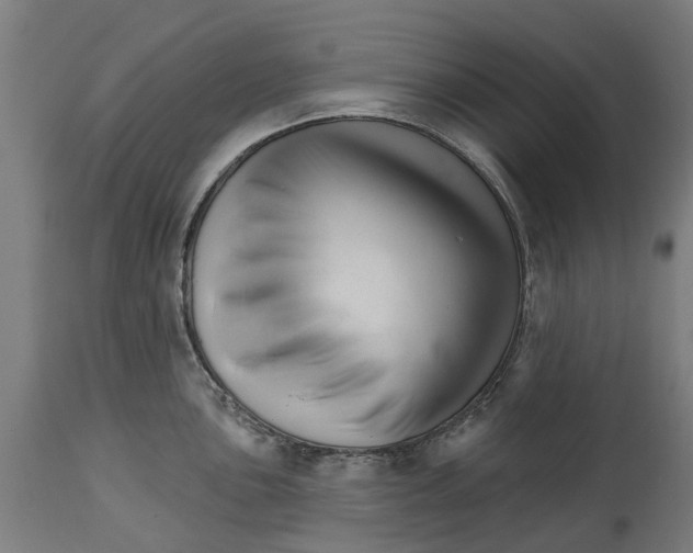 X0000114401051200911131401