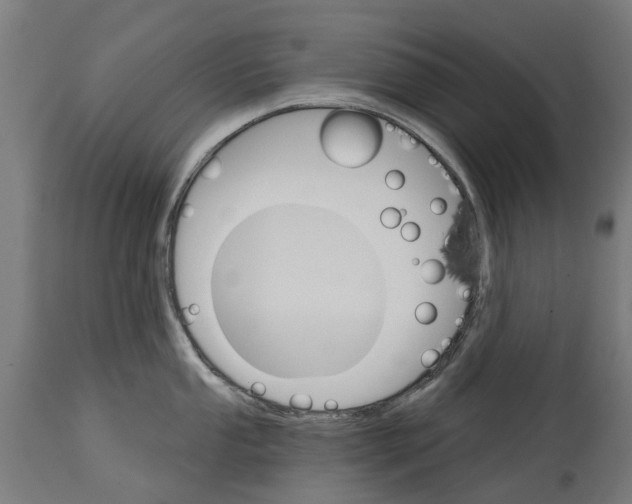 X0000114401053200911131401