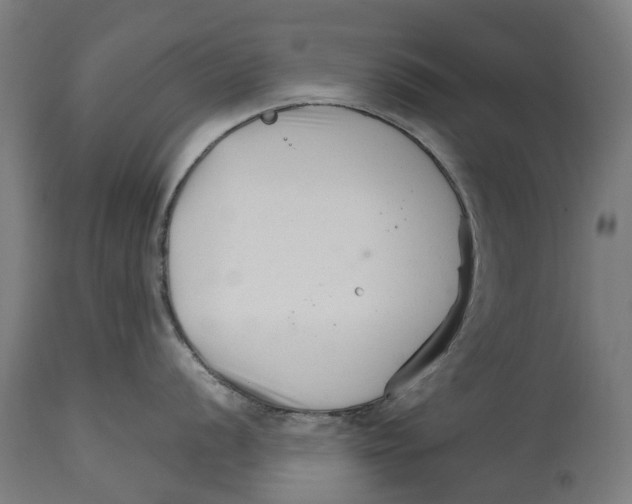 X0000114401056200911131401