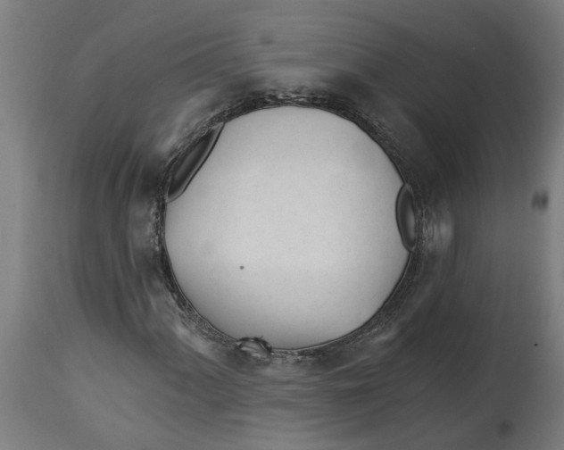 X0000114401060200911131401