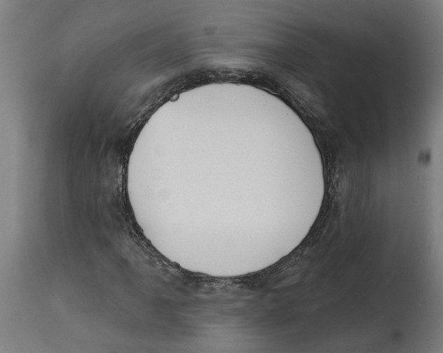 X0000114401061200911131401