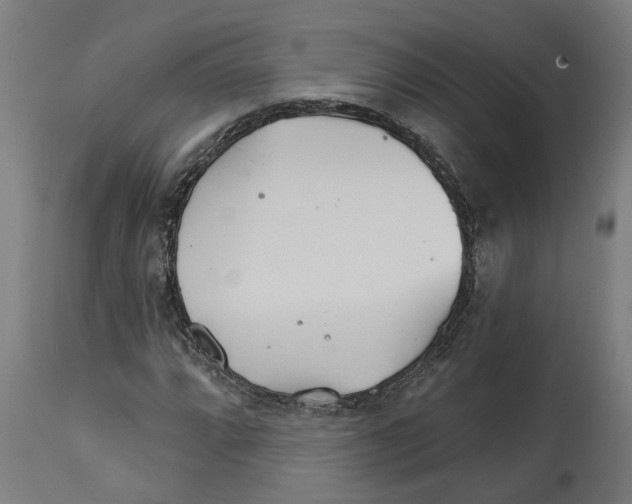 X0000114401064200911131401