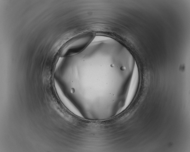 X0000114401065200911131401