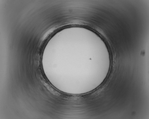 X0000114401067200911131401