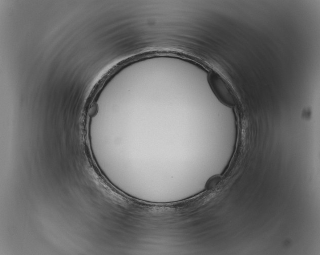 X0000114401068200911131401