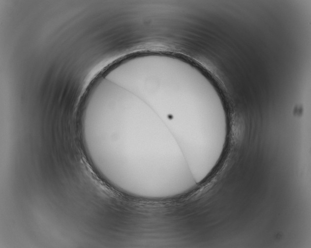 X0000114401070200911131401