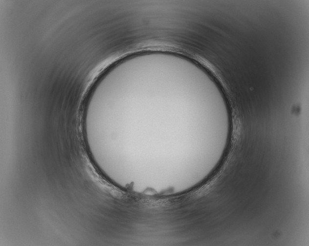 X0000114401074200911131400