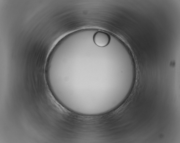 X0000114401076200911131400