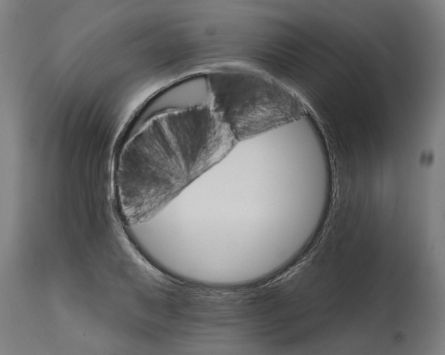 X0000114401079200911131400