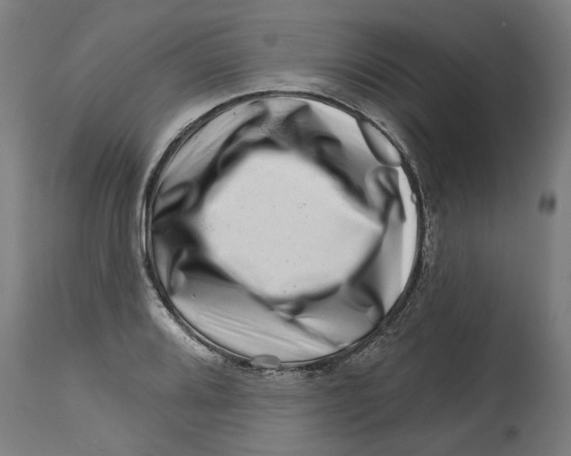 X0000114401080200911131400