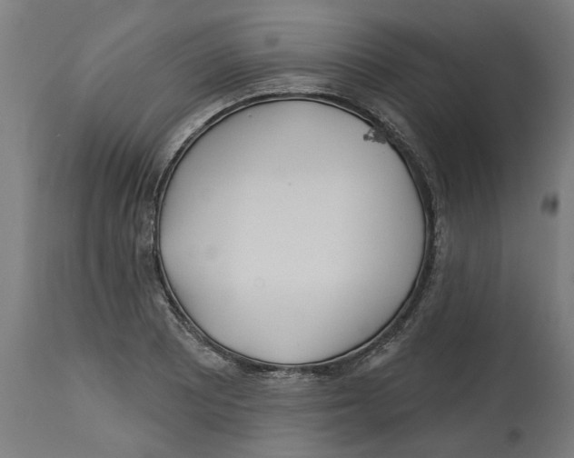 X0000114401081200911131400