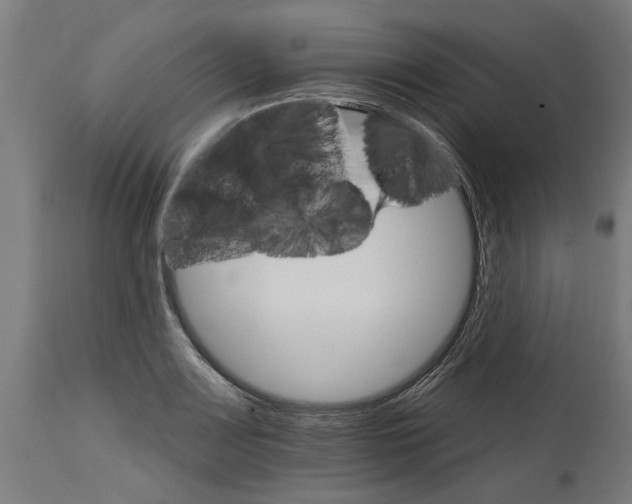 X0000114401083200911131400