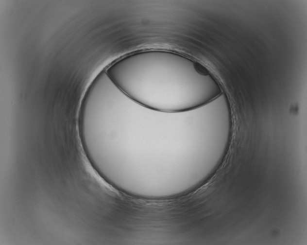 X0000114401084200911131400