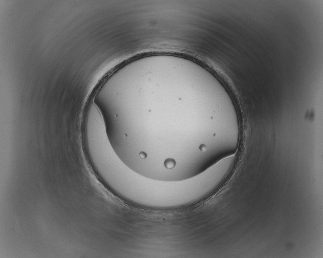 X0000114401085200911131400