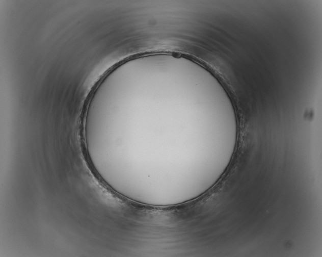 X0000114401086200911131400