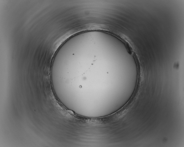 X0000114401089200911131400