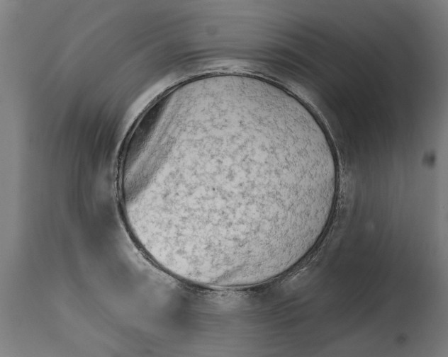 X0000114401090200911131400