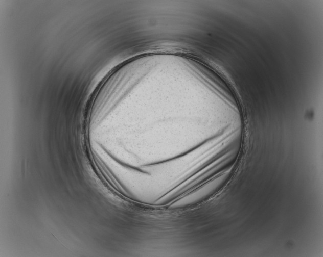 X0000114401091200911131400