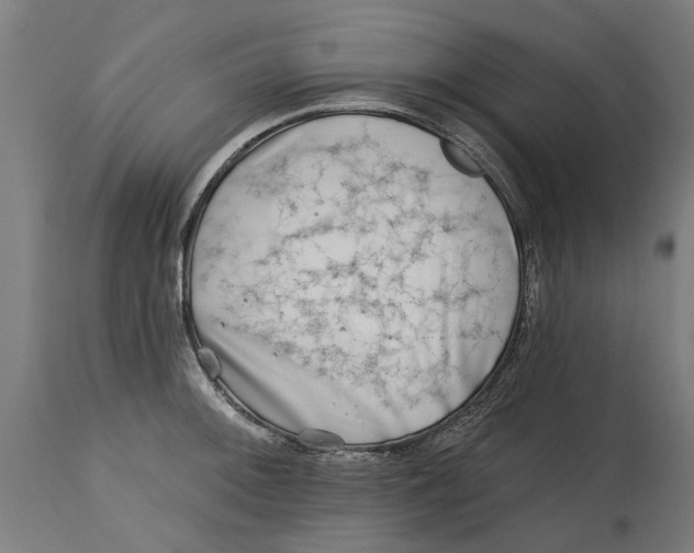 X0000114401092200911131400