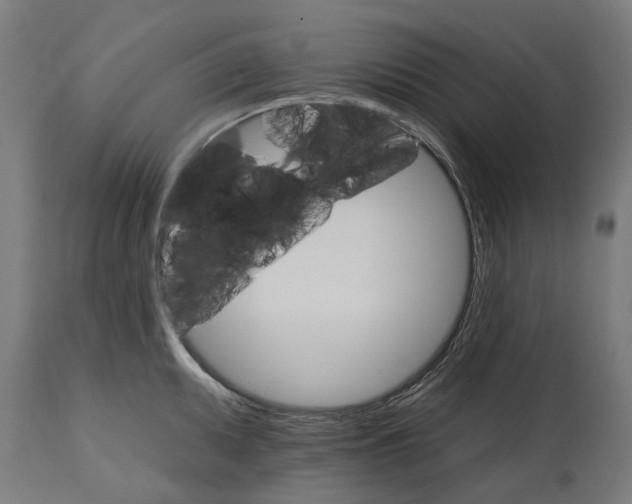 X0000114401095200911131400