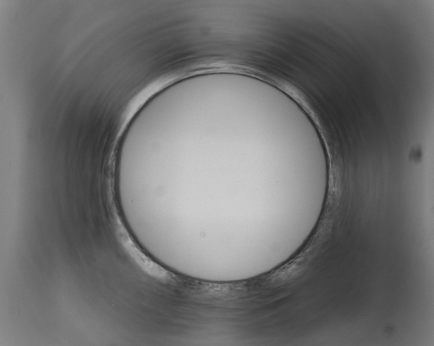 X0000114401098200911131400