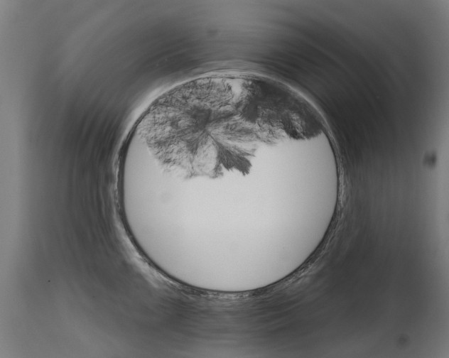 X0000114401099200911131400