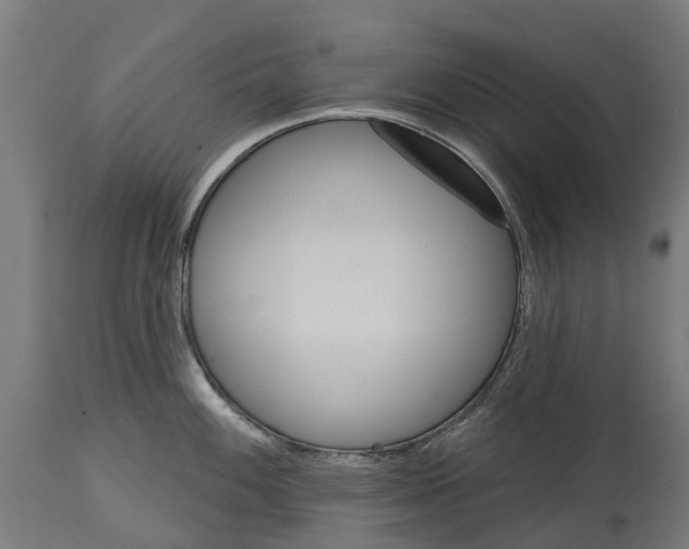 X0000114401100200911131400