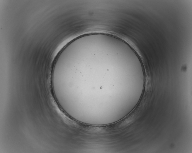 X0000114401101200911131400