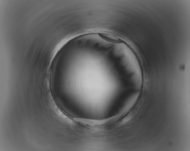 X0000114401102200911131400