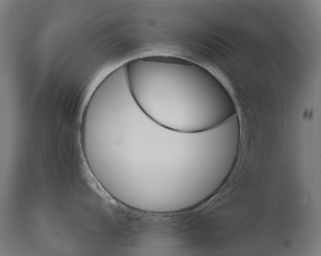 X0000114401104200911131400