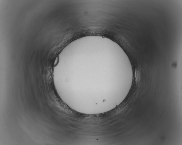 X0000114401107200911131359