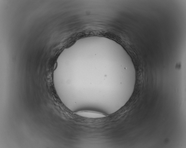 X0000114401109200911131359