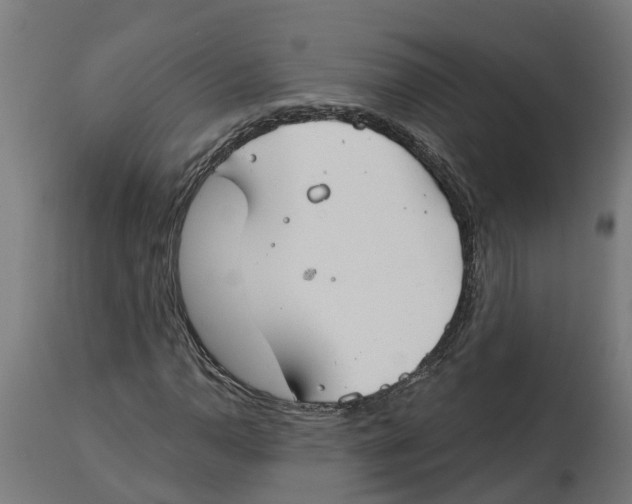 X0000114401110200911131359