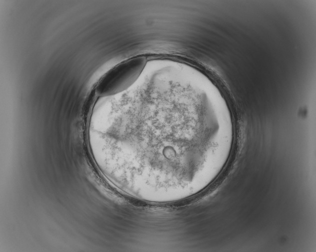 X0000114401114200911131359