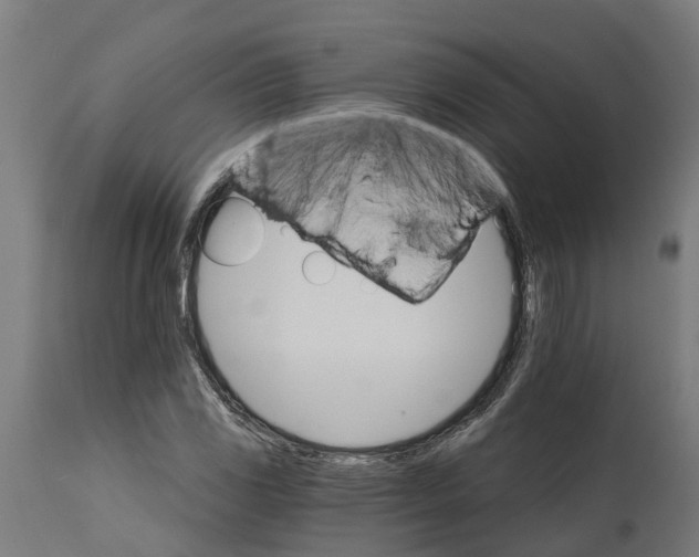 X0000114401117200911131359