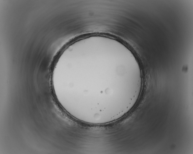 X0000114401118200911131400