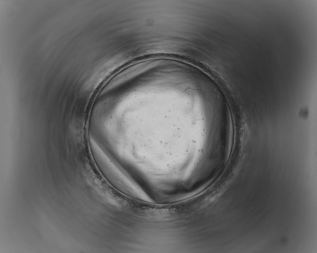 X0000114401121200911131400