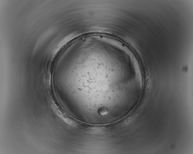 X0000114401125200911131400